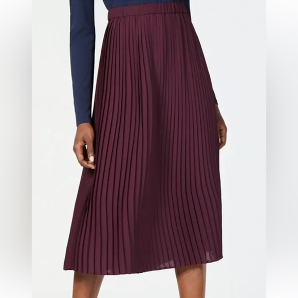 NWT EILEEN FISHERC/L KNIFE PLEATED SKIRT FBKNP-S8804M RASNT...